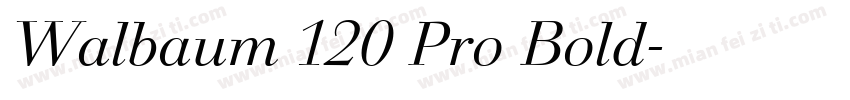 Walbaum 120 Pro Bold字体转换